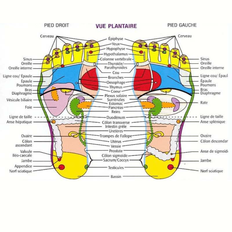 Sandales Thérapeutiques Soulagement+® (+ Massageur Offert)